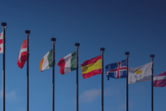 flags